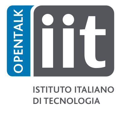 Logo IIT